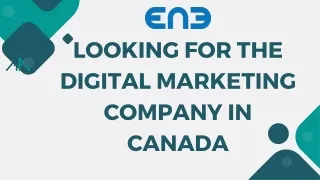 looking For The Digital Marketing Company In Canada