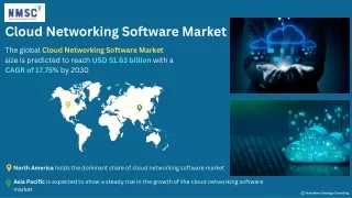 Cloud Networking Software Market: Growth and Innovations