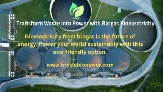 Bioelectricity: The Renewable Energy from Biogas