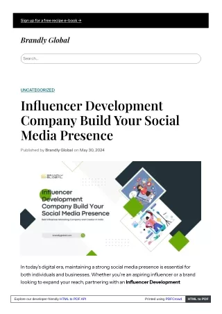 Influencer Development Company Build Your Social Media Presence