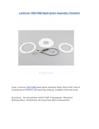 Lochinvar 100271888 Spark Ignitor Assembly _ PartsHnC