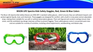 Bison Life Spectra Kids Safety Goggles