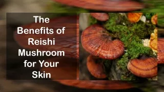 The Benefits of Reishi Mushroom for Your Skin