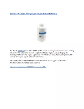 Bosch 11032531 Refrigerator Water Filter HnKParts