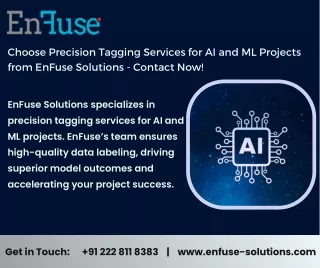 Choose Precision Tagging Services for AI and ML Projects from EnFuse Solutions