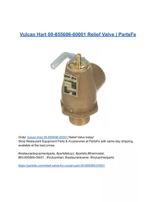 _Vulcan Hart 00-855606-00001 Relief Valve _ PartsFe