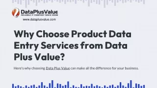 Why Choose Product Data Entry Services from Data Plus Value