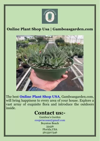 Online Plant Shop Usa  Gamboasgarden.com