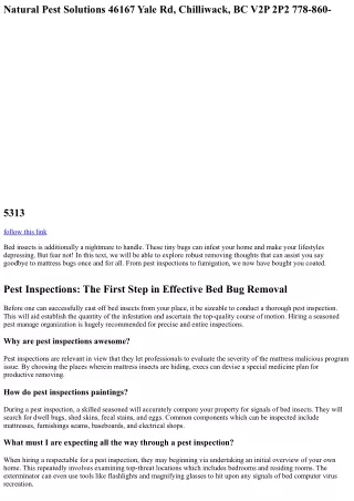 Say Goodbye to Bed Bugs: Effective Removal Techniques