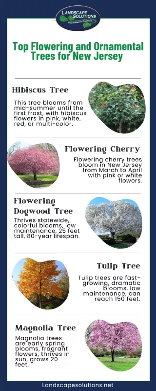 Top Flowering and Ornamental Trees for New Jersey