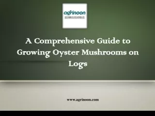 A Comprehensive Guide to Growing Oyster Mushrooms on Logs