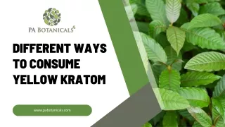 Different Ways to Consume Yellow Kratom