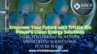 Clean Energy for All: Trickle Bio Power’s Bioelectricity