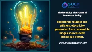 Explore biopower solutions today. Connect with us now