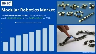 Modular Robotics Market: Growth and Trends