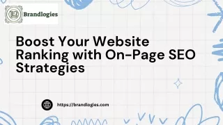 Best Affordable SEO Services in Delhi -  Your Online Presence with Brandlogies