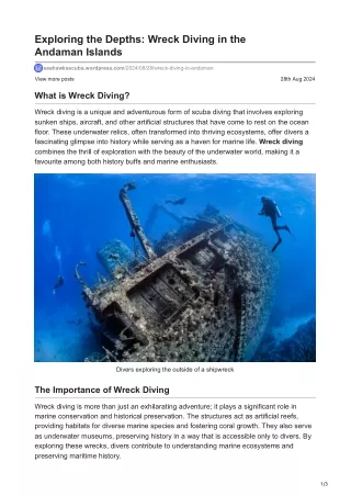 Explore Popular Ship Wreck Diving in The Andaman Islands