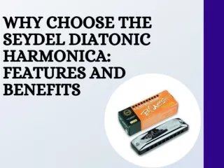 Why Choose the Seydel Diatonic Harmonica Features and Benefits