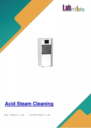 Acid Steam Cleaning System