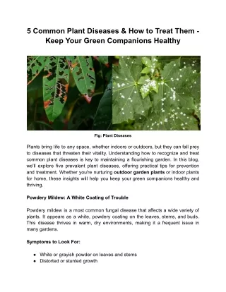 5 Common Plant Diseases & How to Treat Them