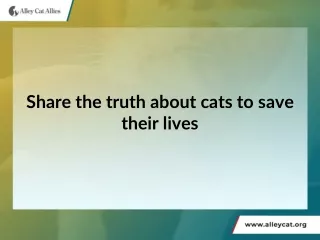 Share the truth about cats to save their lives