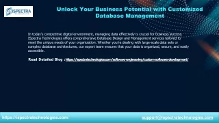 Unlock Your Business Potential with Customized Database Management