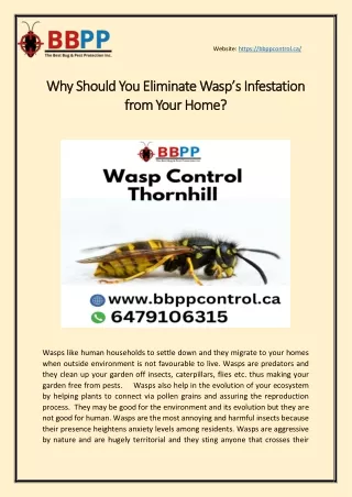 Why Should You Eliminate Wasp’s Infestation from Your Home