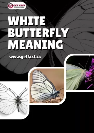 White Butterfly Meaning