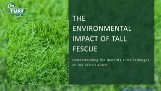 Tall Fescue--The Turf Farm (2)