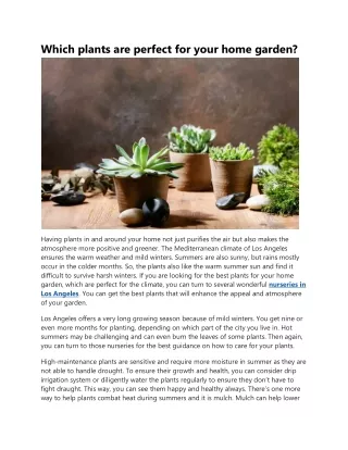 Top Nurseries in Los Angeles - Urban Jungle