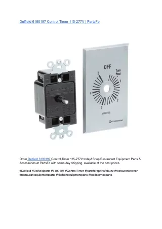 Delfield 6190197 Control,Timer 115-277V _ PartsFe