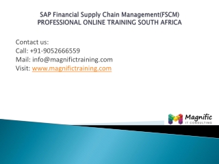 Sap Financial Supply Chain Management(FSCM)south africa