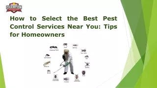 How to Select the Best Pest Control Services Near You: Tips for Homeowners