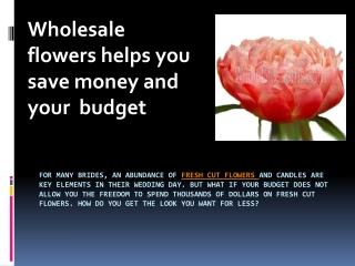 Wholesale flowers helps you save money and your budget
