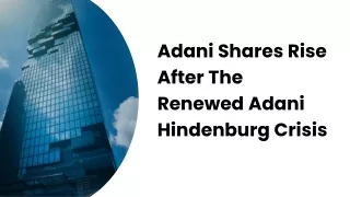 Adani Shares Rise After The Renewed Adani Hindenburg Crisis
