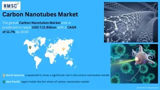 Carbon Nanotubes Market: Trends, Growth & Forecast