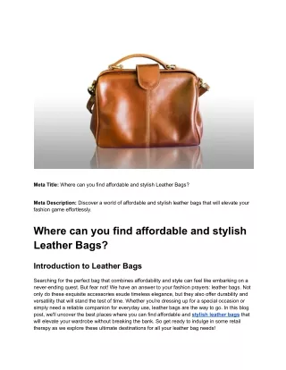 Where can you find affordable and stylish Leather Bags