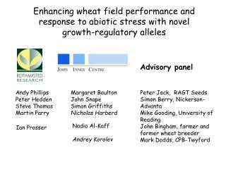 Enhancing wheat field performance and response to abiotic stress with novel growth-regulatory alleles