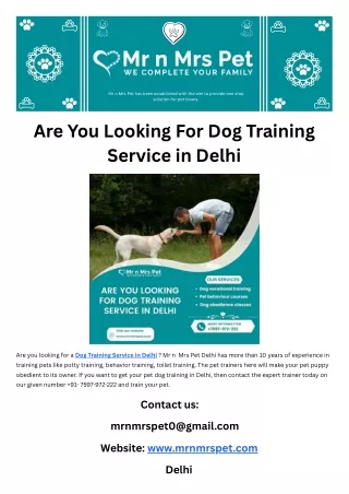 Are You Looking For Dog Training Service in Delhi