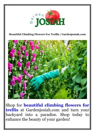Beautiful Climbing Flowers For Trellis  Gardenjosiah.com