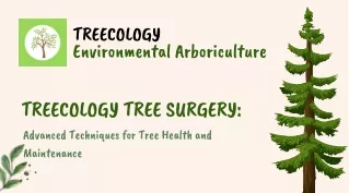 Tree Surgery in Essex | Tree Surgeon in Essex | TreeCology