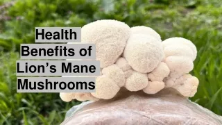 Essential Mushrooms_lion's mane mushrooms supplements.