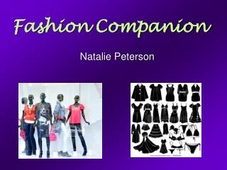 Fashion Companion