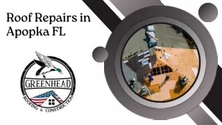 Roof Repairs in Apopka FL
