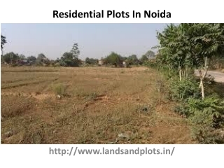 Residential Plots In Noida