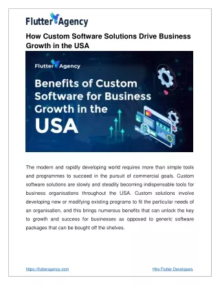 Custom Software Solutions for Business Growth in the USA