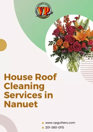 Professional House Roof Cleaning Services in Nanuet