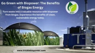 Switch to Biopower: Cleaner, Greener, Better