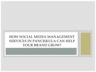 How Social Media Management Services in Panchkula Can Help Your Brand Grow