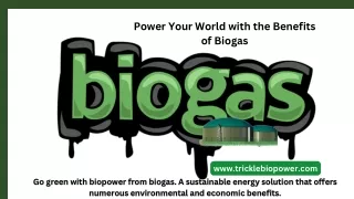 Experience the Benefits of Biopower from Biogas